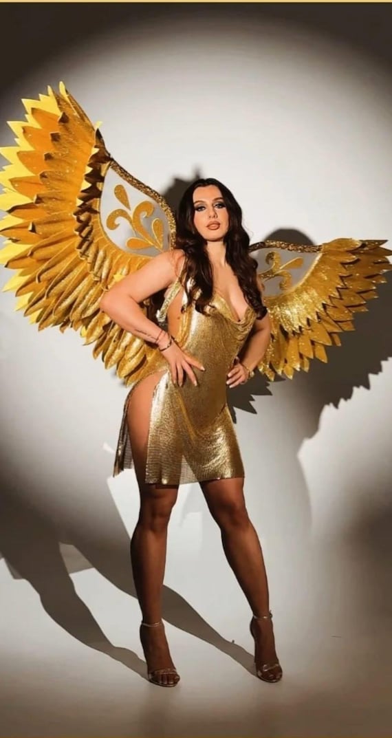what do they say about dress whites and gold wings Angel Wing Velour Dress main image 1