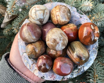 May include: A collection of polished petrified wood spheres in various shades of brown, red, and white, displayed in a light purple bowl.