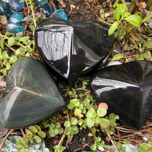 rainbow obsidian large size hearts