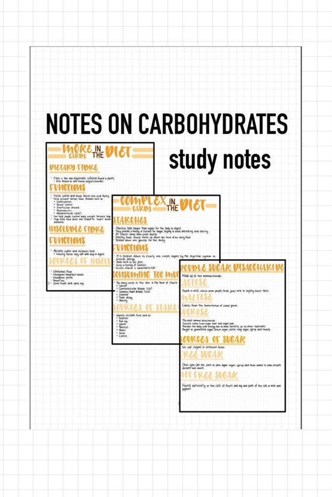 GCSE OCR CARBOHYDRATES food notes Etsy