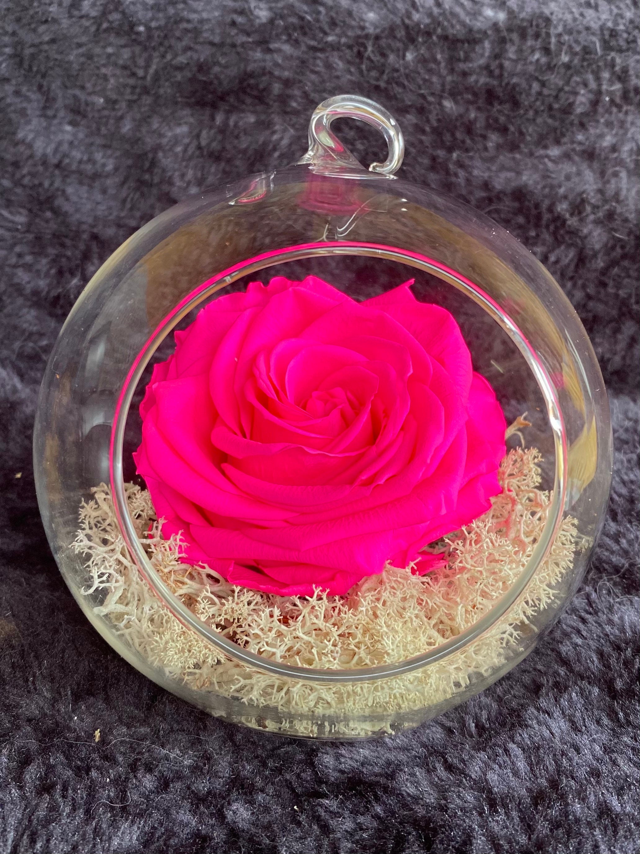 Real Preserved Roses Eternal Rose Forever Rose Gift various Etsy