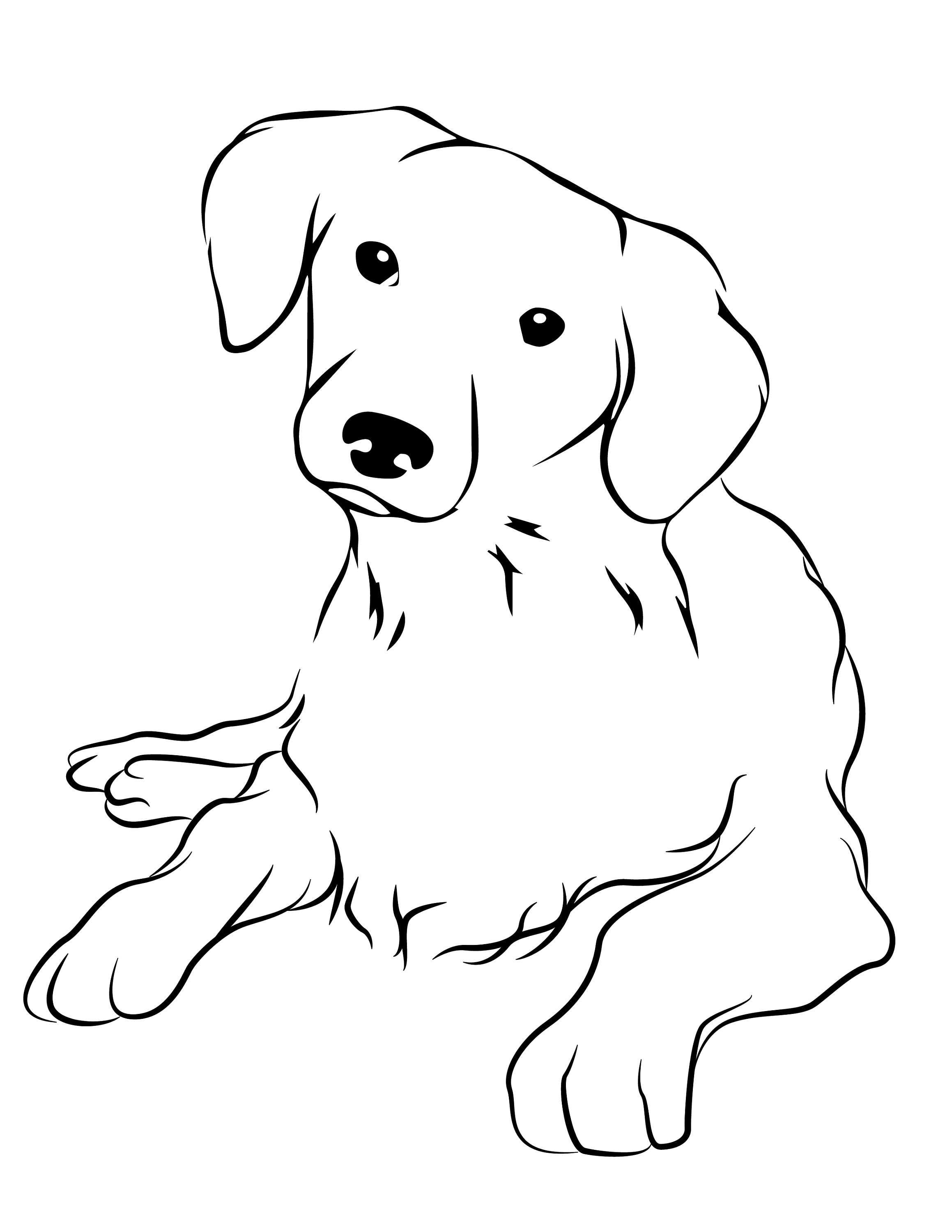 5 Malvorlagen Gewöhnliche Tiere | Etsy 5 Malvorlagen Gewöhnliche Tiere | Etsy