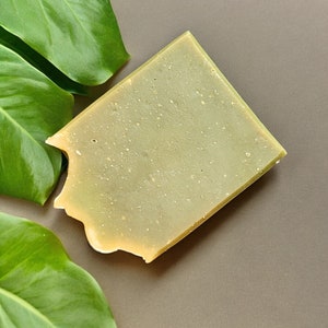 Tea Tree Bar Soap with Tea Tree Essential oil olive oil almond oil coconut oil castor oil shea butter soap face and body exfoliating soap