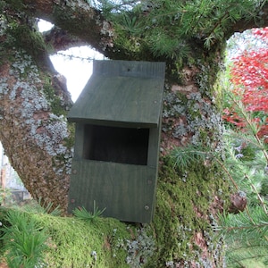 May include: A dark green wooden birdhouse mounted on a tree trunk covered in moss. The birdhouse has a small opening for birds to enter.