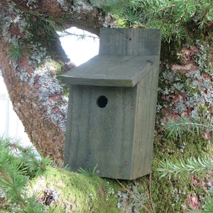 May include: A dark green wooden birdhouse with a round entrance hole, mounted on a tree branch covered in moss.