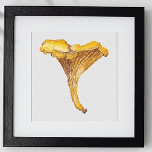 Chanterelle Mushroom Cross Stitch PDF Pattern | 6.3" x 6.8" | 30 DMC Colors