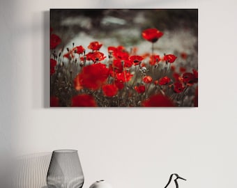 Rode klaproos bloemen canvas print, bloemen wand decor, bloemen botanische muur kunst, klaprozen fotoprint, bloemen fotokunst