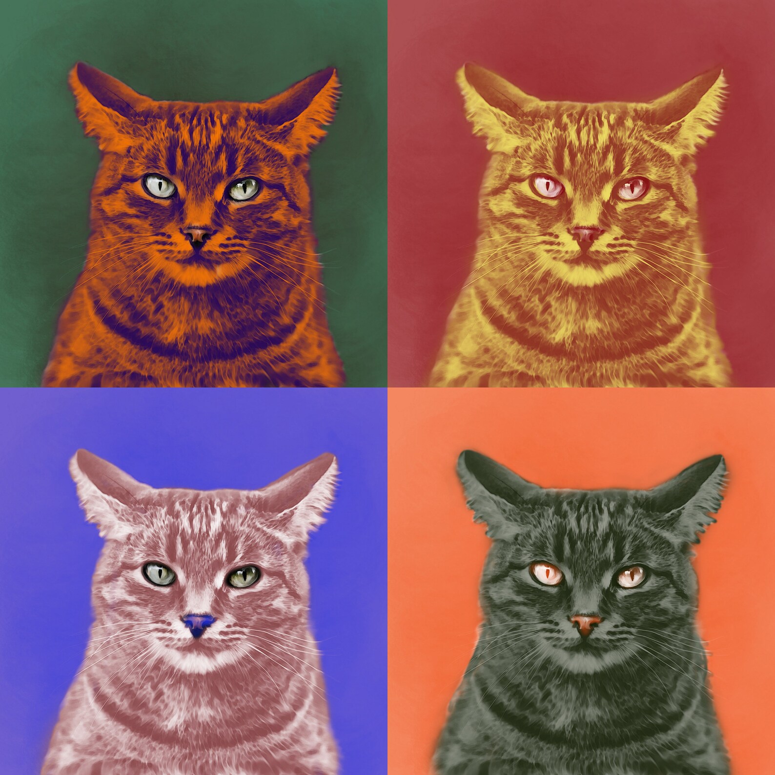 Modern Art Pet Portrait, Andy Warhol Style, Collage, Custom Pet