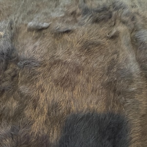 May include: Close-up of a dark gray fur texture. The fur appears soft and dense, with varying shades of gray and brown. The lighting creates shadows and highlights, emphasizing the texture and depth of the fur.