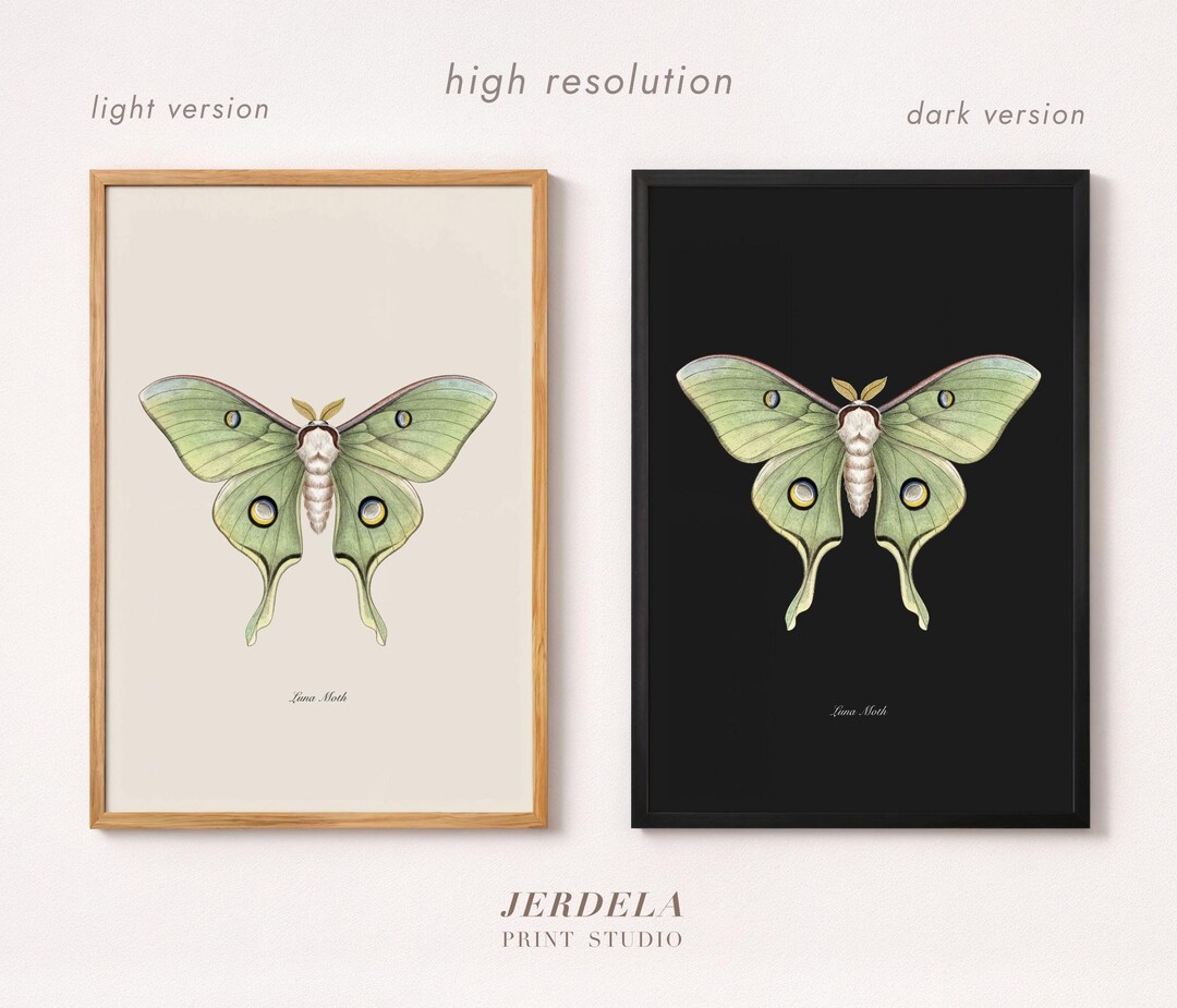 Luna Moth Vintage Botanical Print | Light and Dark Set | Antique Insect ...