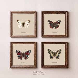Può includere: Quattro stampe di farfalle incorniciate. Ogni stampa presenta un'illustrazione di farfalla diversa con motivi e colori delle ali dettagliati. Le cornici sono in legno scuro e lo sfondo è beige neutro.