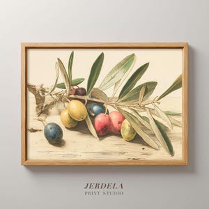 Puede incluir: Impresión enmarcada que presenta una ilustración botánica de una rama de olivo con hojas verdes y aceitunas de varios colores. Las aceitunas varían en color de amarillo a rojo y azul. La impresión está en un marco de madera e incluye el texto "JERDELA PRINT STUDIO".