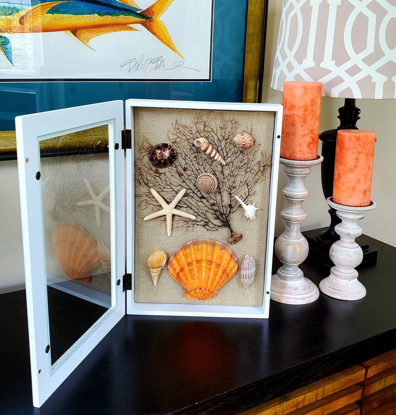Seashell Shadow Box Coastal Decor Shore Decor Beach House Etsy