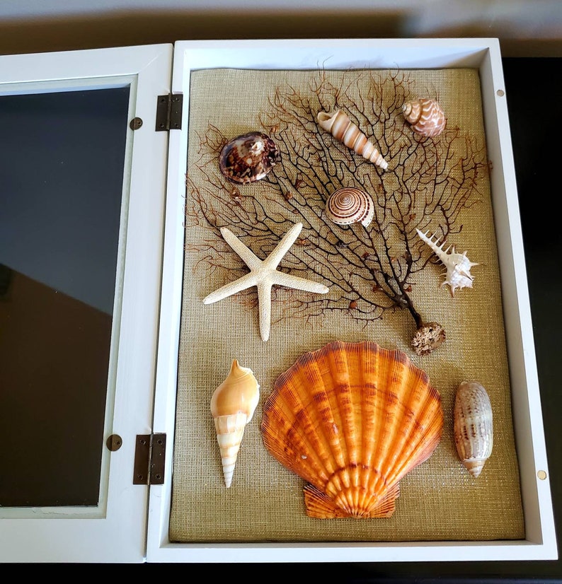 Seashell Shadow Box Coastal Decor Shore Decor Beach House Etsy
