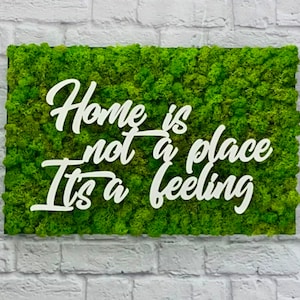 Moss picture moss wall flower picture wedding decoration, flower wall with real moss from Iceland