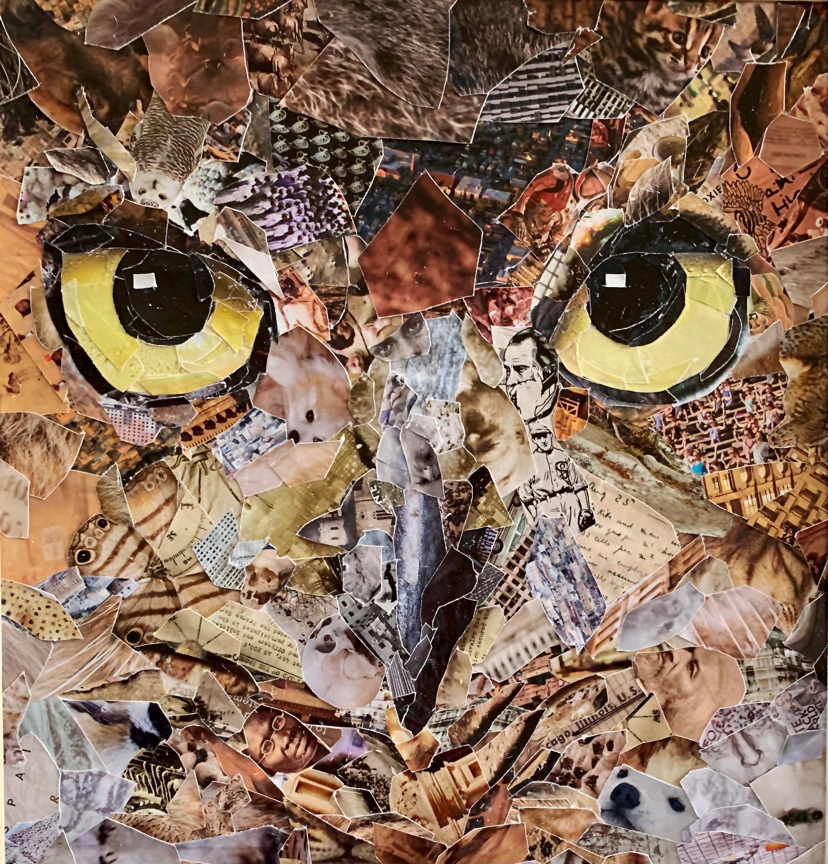 Mixed media collage Owl, Used: old magazines, acrylic pai…