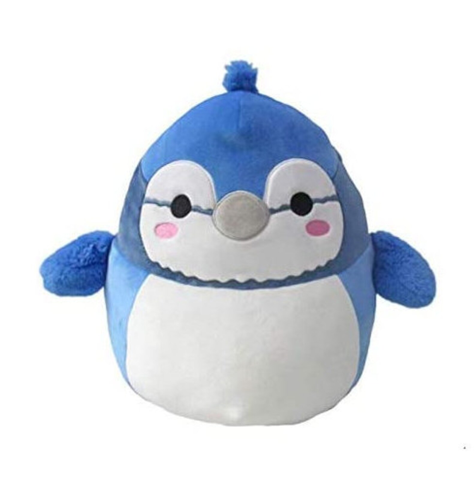 Squishmallows Babs The Blue Jay 8 inch | Etsy
