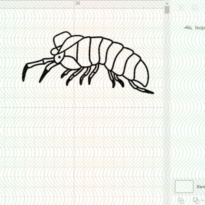 Isopod Svg, Cowboy Hat Svg, Isopods Svg, Bug Svg, Insect Svg, Cowboy ...