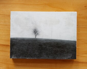 Black and White Tree on Birch wood panel