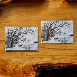 Black and White Blank Notecards