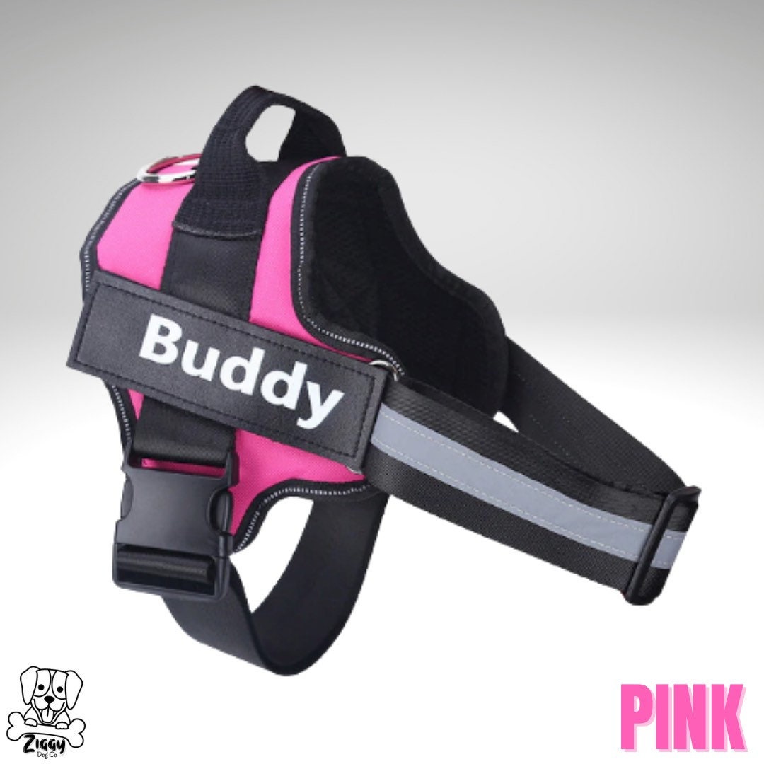 Personalised Dog Harness Custom Name and Phone Number Etsy Australia