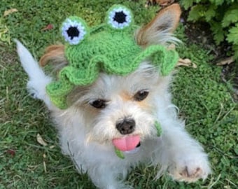 Dog bucket hat crochet Clearance