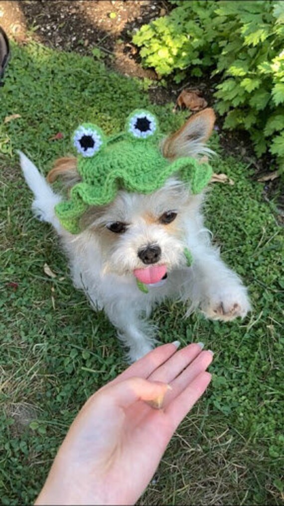 Crochet Handmade Pet Hat Frog Hat Dog 