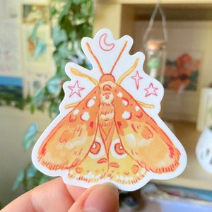 Sticker papillon de nuit