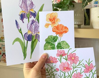 Floral Art Prints | iris print | cosmos print