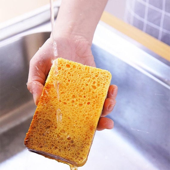 Eco Living Compostable Sponges