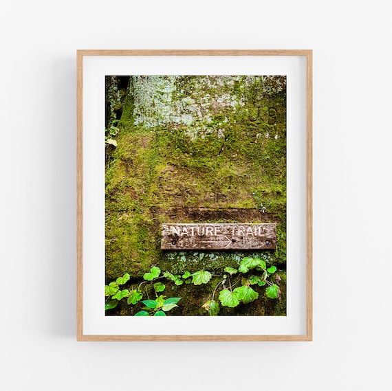 Mossy Nature Trail sign Photo Print