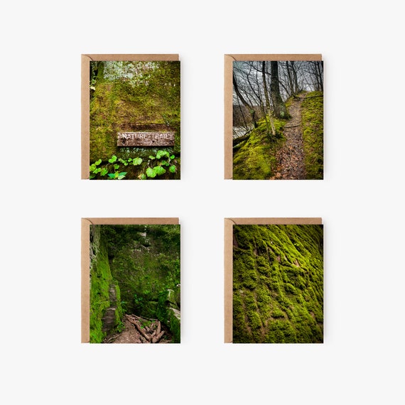 Moss Greeting Card Variety Pack