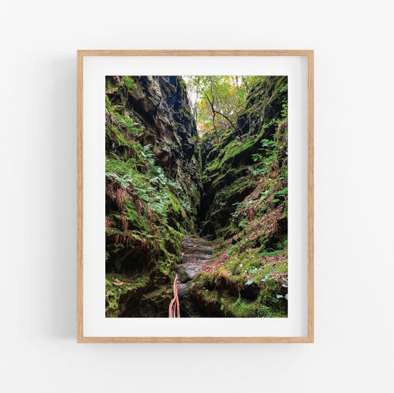 Ferne Clyffe Moss Photo Print