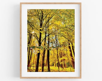 Forest Seasons: FALL Photo Print