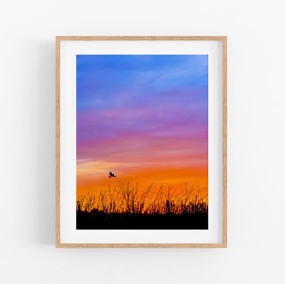 Redwing Sunset Photo Print