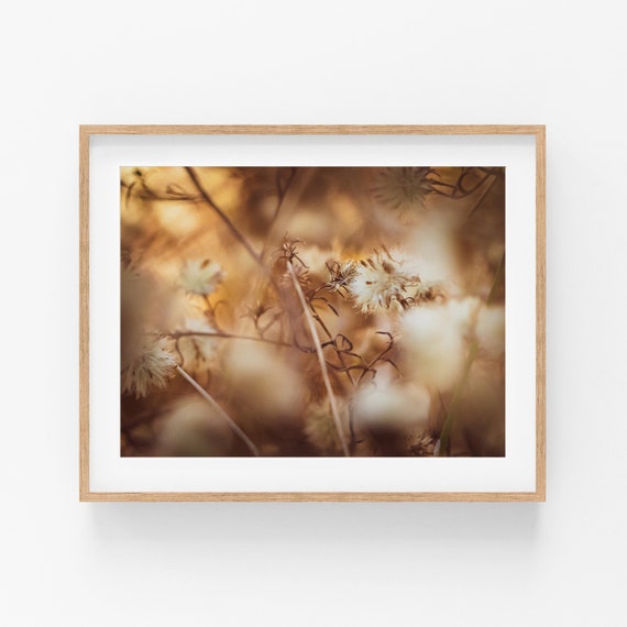 Soft Winter Seeds Photo Print