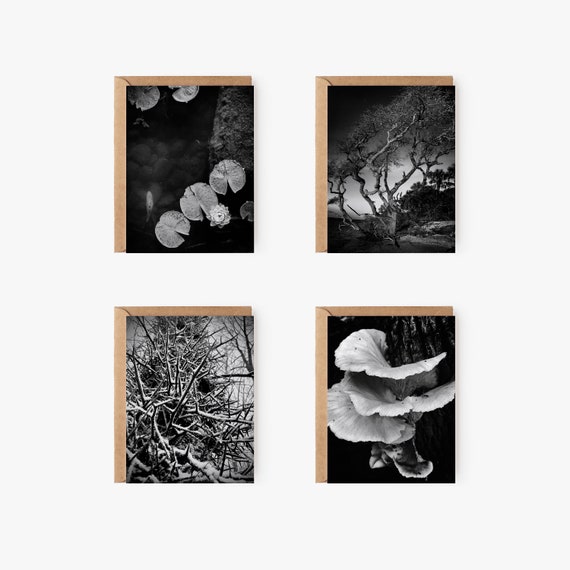 Nature Noir Greeting Card Variety Pack
