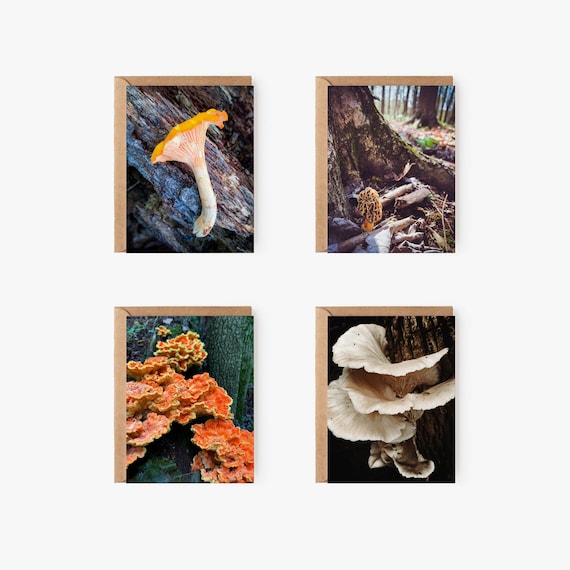 Culinary Mushroom Greeting Card Variety Pack