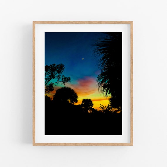 Palm Tree Sunset Photo Print