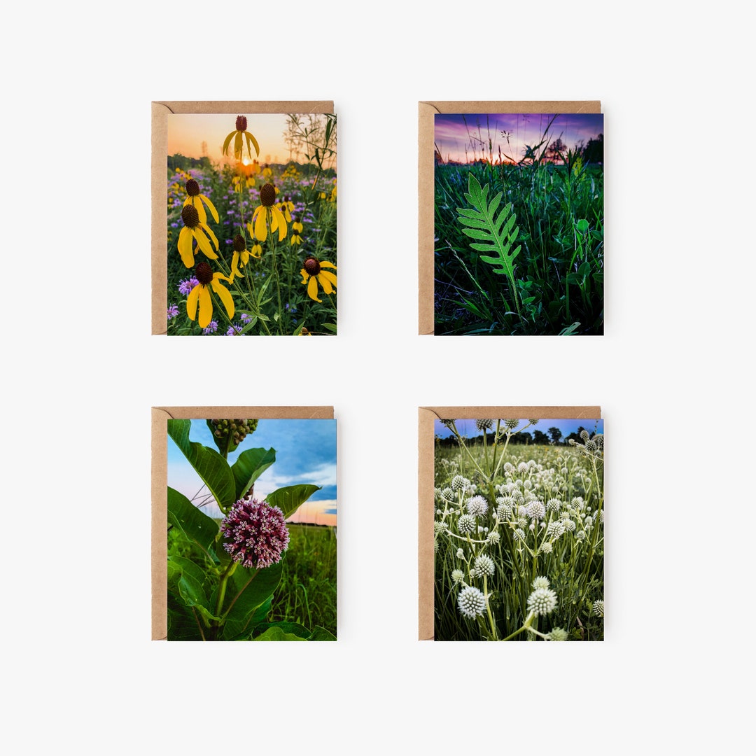 Prairies Greeting Card Variety Pack - Etsy