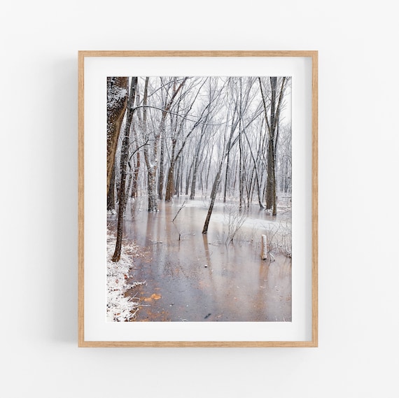 Forest Seasons: WINTER Photo Print