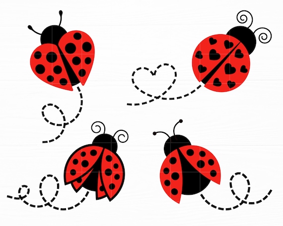 Ladybug png images