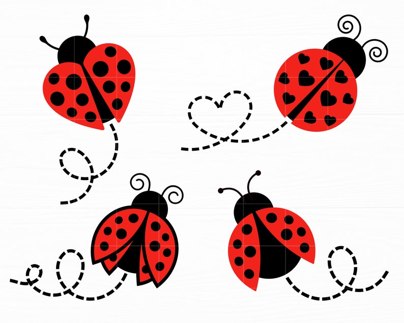 Puede incluir: Cuatro mariquitas rojas con manchas negras y alas est&aacute;n volando con l&iacute;neas punteadas que se arrastran detr&aacute;s de ellas. Dos mariquitas tienen corazones en sus alas y una mariquita tiene un rastro en forma de coraz&oacute;n.