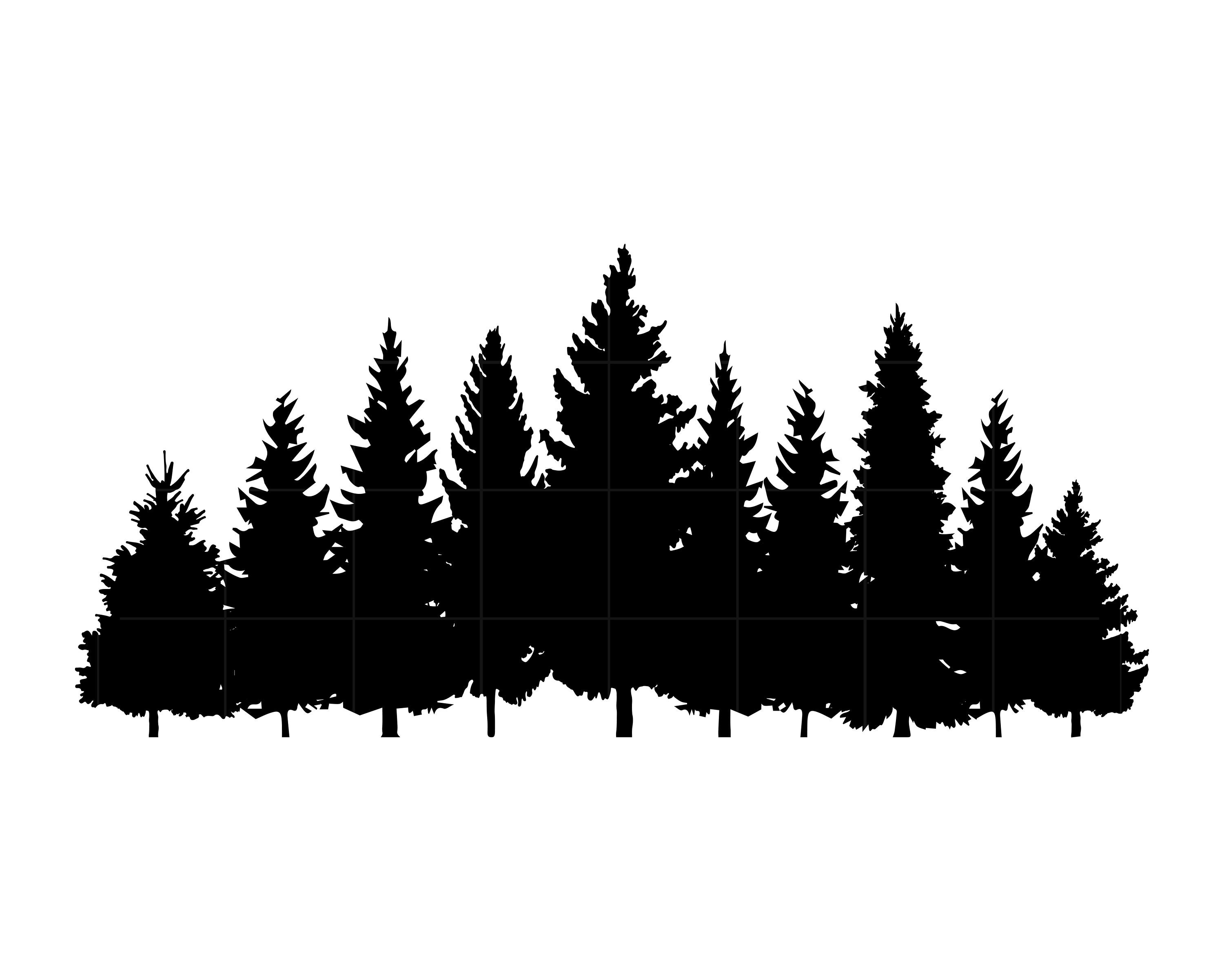 pine trees forest silhouette