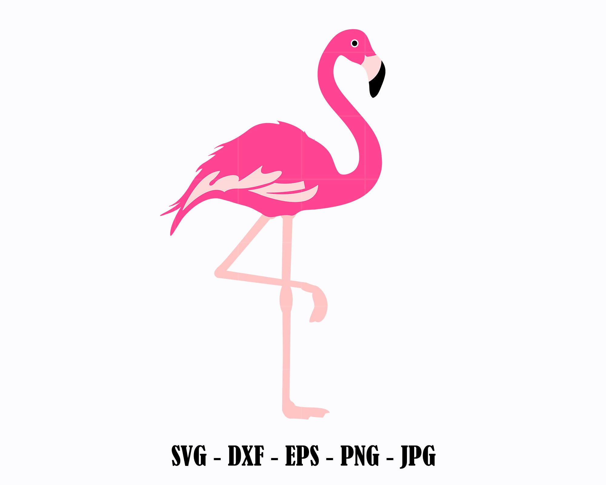Flamingo Card SVG