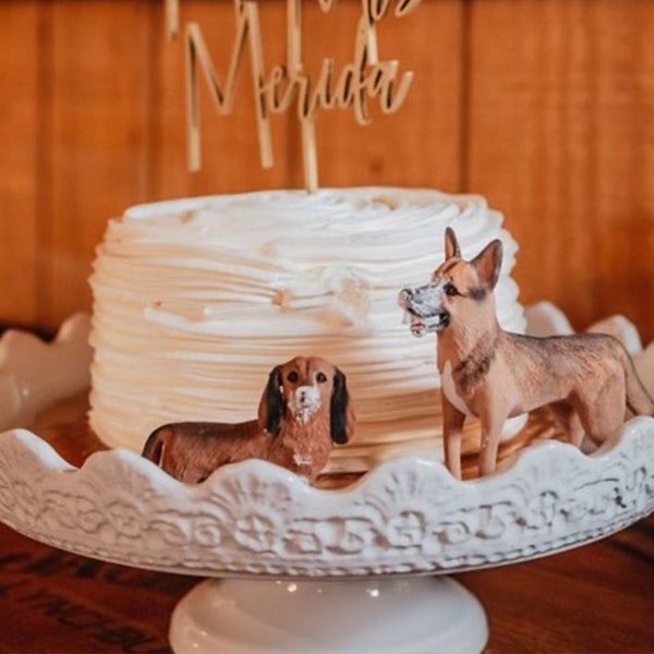 Personalized custom dog wedding cake topper , pet CakeTopper，Pets Birthday，cat caketopper , Anniversary pet，dog Figurines，Dogs birthday