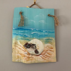 Loggerhead Hatchling