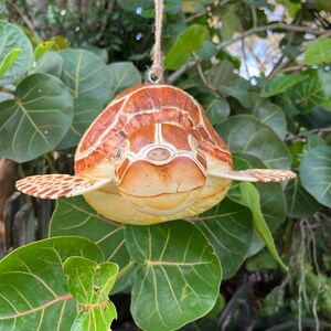 May include: A wooden turtle ornament with brown and white painted details, hanging from a string. The turtle has a realistic face with a small nose and large eyes.