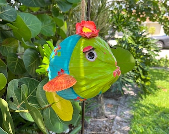 Coco-fish and friends