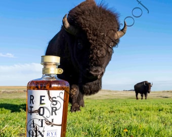 Castle and Key Restoration Wall Photo Print, Kentucky Whiskey Canvas Photo, Kentucky Bourbon Wall Art, Bourbon Whiskey Man Cave, Speak Easy